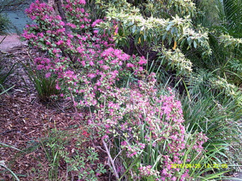 in-touch-with-australian-wildlife-sydney-54601863020240814034547AM