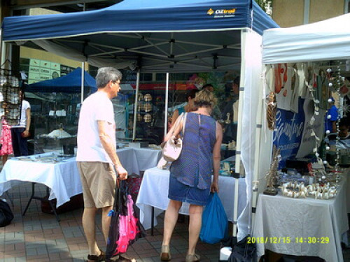 in-touch-with-australian-wildlife-sydney-58849909720240814034743AM