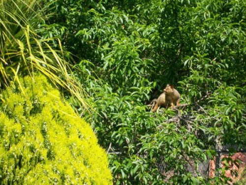 in-touch-with-australian-wildlife-sydney-63050783720240814034447AM