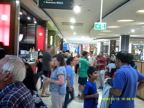 in-touch-with-australian-wildlife-sydney-701146020240814034702AM