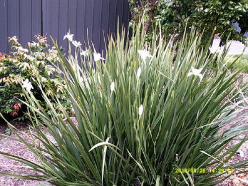 in-touch-with-australian-wildlife-sydney-76703831420240814034542AM