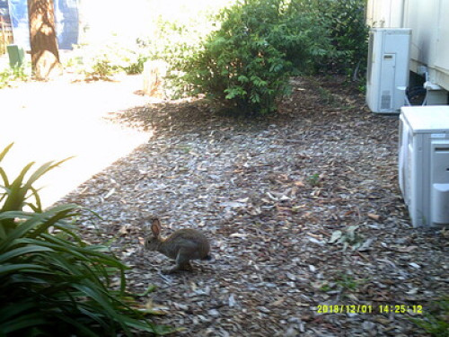 in-touch-with-australian-wildlife-sydney-7748531420240814034620AM