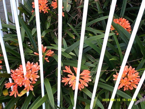 in-touch-with-australian-wildlife-sydney-82573766520240814034557AM