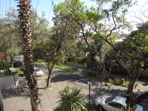 enthusiast of music and dance