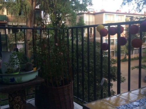 Spacious Room in a very nice Apt 