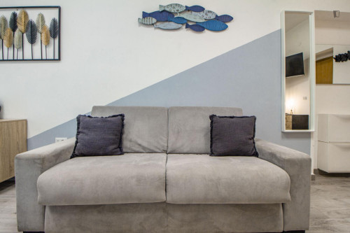 Spacious studio near Vanni Stadium