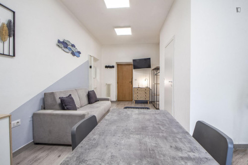Spacious studio near Vanni Stadium - Gallery - 10