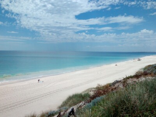 3* BB in Warwick Perth WA - Gallery - 13