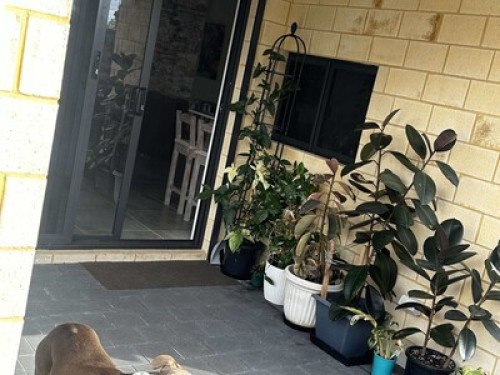 Cosy Luxe Room in Beechboro  - Gallery - 6