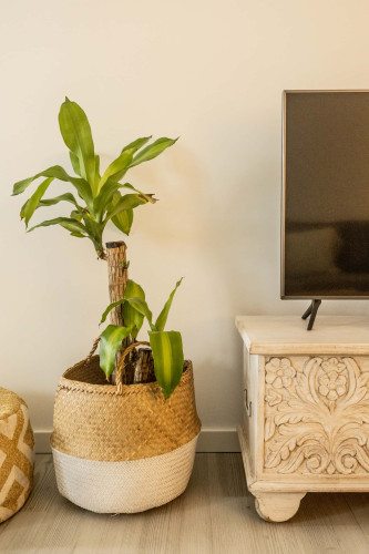 Clover House TaviraTavira -Apartment (Available only from October to March)