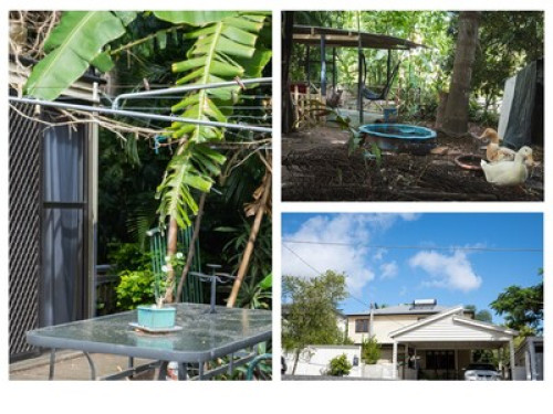 Friendly outdoors family in Yeronga - Gallery - 6