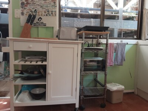 Friendly outdoors family in Yeronga - Gallery - 8