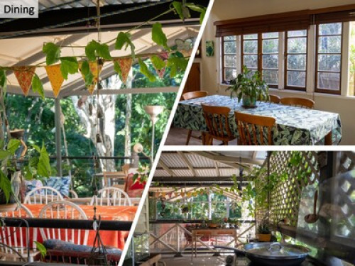 Friendly outdoors family in Yeronga