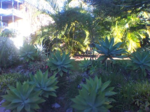 charming-125-year-old-cottage-brisbane-147891023820240814042912AM