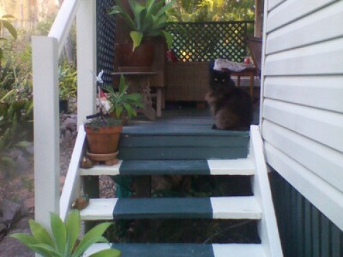 charming-125-year-old-cottage-brisbane-205643587720240814042911AM
