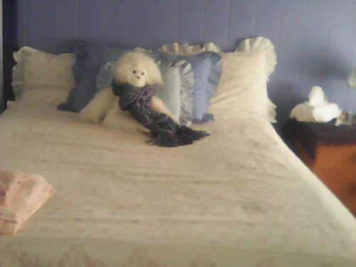charming-125-year-old-cottage-brisbane-97906508020240814042913AM