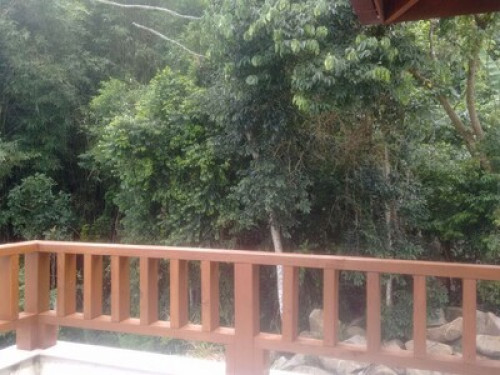 Home with Nature & Safetyness