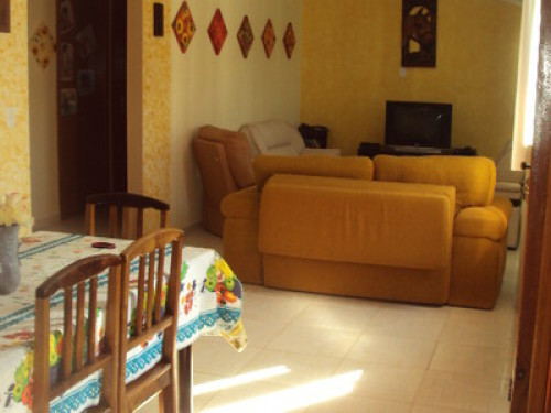 Family descendant of Italians