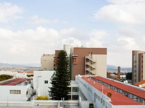Rosebank Accommodation - Gallery - 6