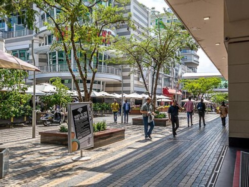 Rosebank Accommodation - Gallery - 7