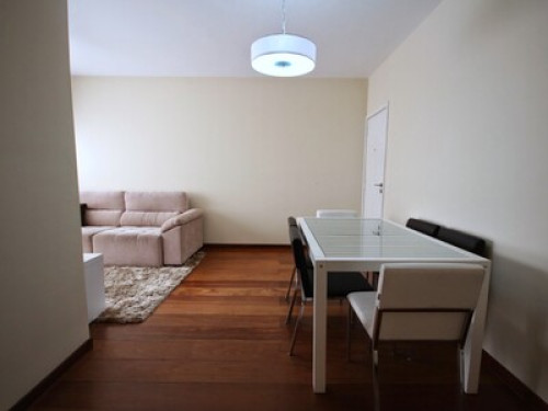 Largest metropolis Sao Paulo