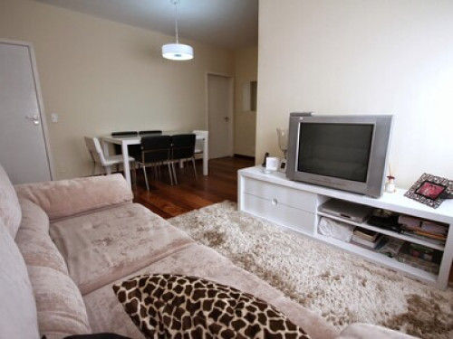 Largest metropolis Sao Paulo