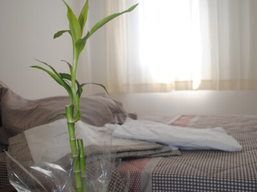 peaceful environment and aconchegant - Gallery - 15