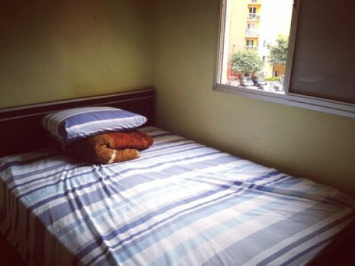 pharmaceutical / student / researcher