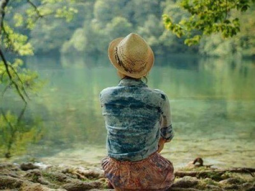 Comfort and Nature - Gallery - 6