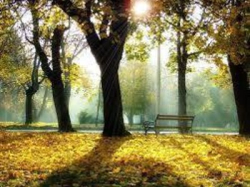 Comfort and Nature