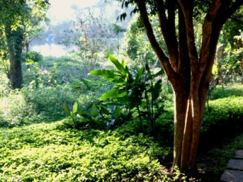 Comfort and Nature - Gallery - 5