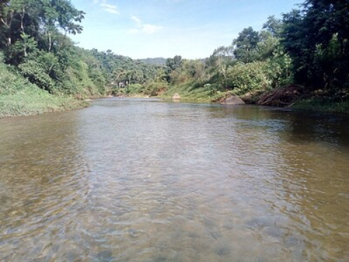 Amazing stay in the Atlantic Forest  - Gallery -  5