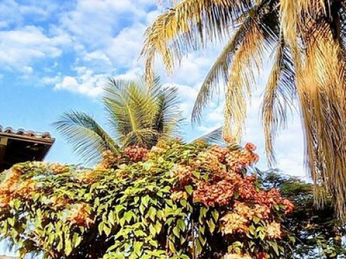 Amazing stay in the Atlantic Forest