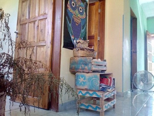 Amazing stay in the Atlantic Forest