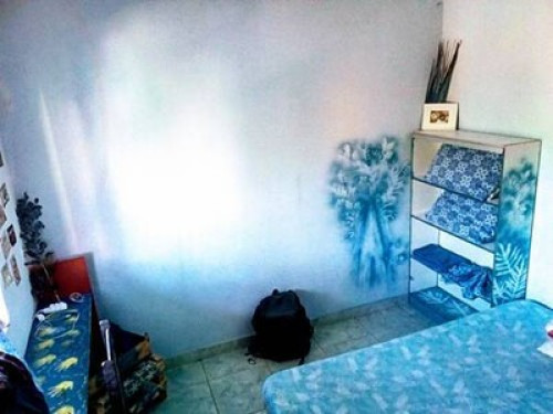 Amazing stay in the Atlantic Forest - Gallery - 10
