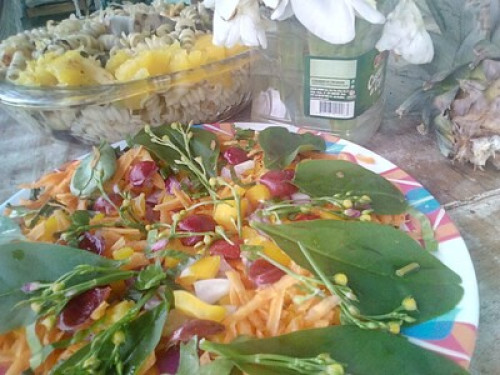 Amazing stay in the Atlantic Forest - Gallery - 6