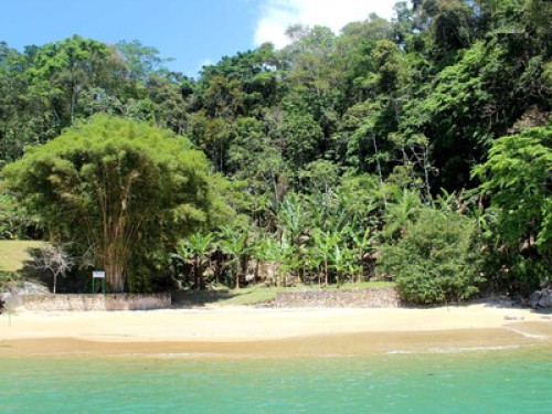 Paradise Island in Paraty