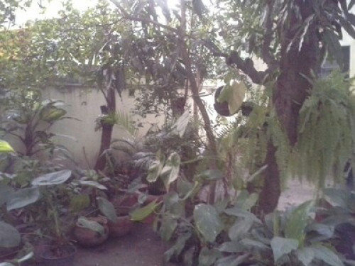 jacarepagua near Barra - Gallery - 8