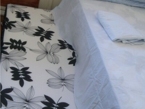 English and Spanish speaking family