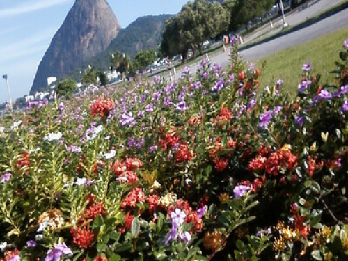 Flamengo - right next to Landfill - Gallery - 4