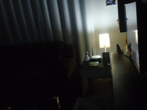 Rio de Janeiro apt with two bedroom - Gallery - 29