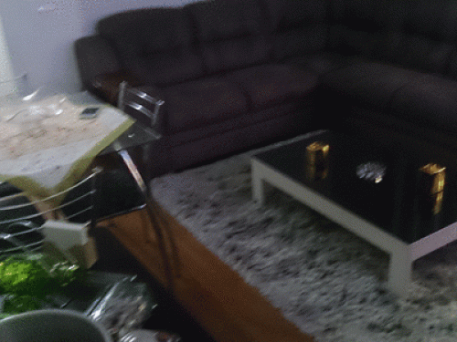 Rio de Janeiro apt with two bedroom - Gallery - 28