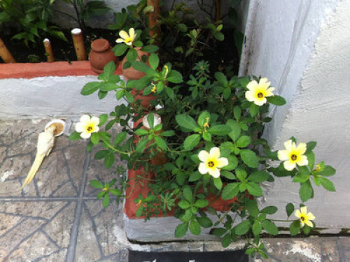Olympics In Rio De Janeiro