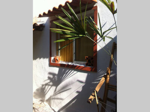 Olympics In Rio De Janeiro