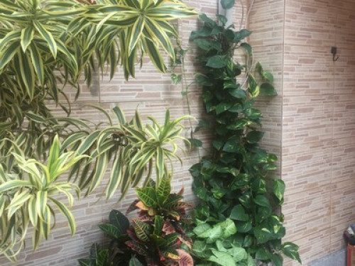 A quiet home and happy