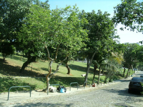 Rio de janeiro Wonderful City  - Gallery -  5