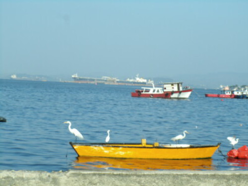 Rio de janeiro Wonderful City - Gallery - 7