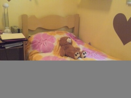 Quiet family  - Gallery -  5