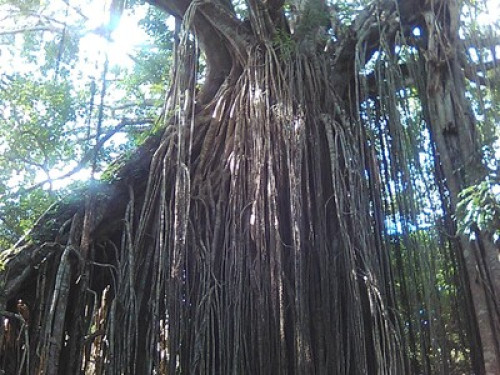 Cairns Homestay- short walk to City - Gallery - 21