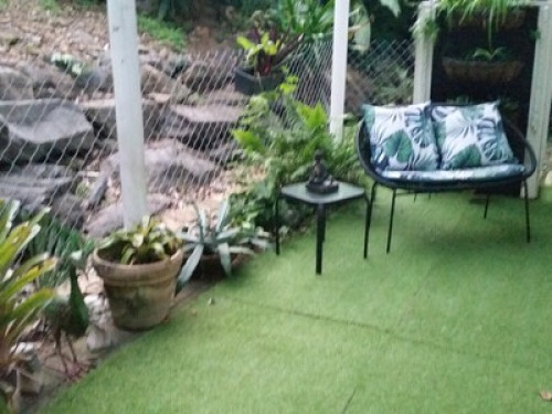 Butterfly Haven - Gallery - 5